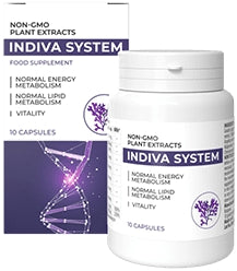 Indiva System Low Price