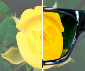 Polaryte Photochromic 2x1 a 59,99€