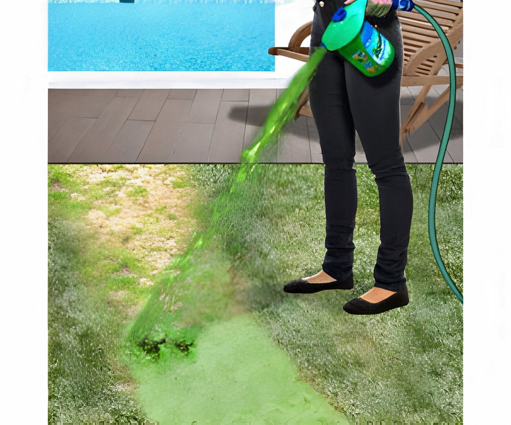 Aquagrazz a 19.906 HUF